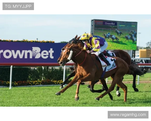 皇冠体育官方最新版本上线带你体验极致的体育娱乐与多样化的投注选择