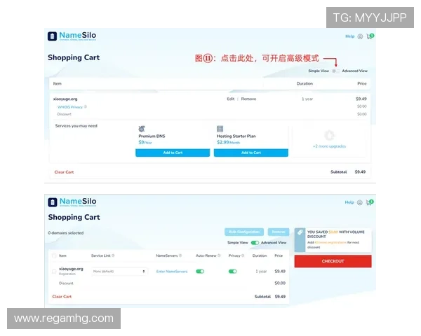 皇冠澳门域名购买指南：从选择到注册的完整流程解析
